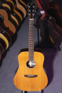 đàn guitar acoustic hex D570T_minhphungmusic