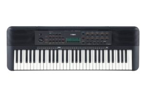 Đàn Organ Yamaha PSR E273