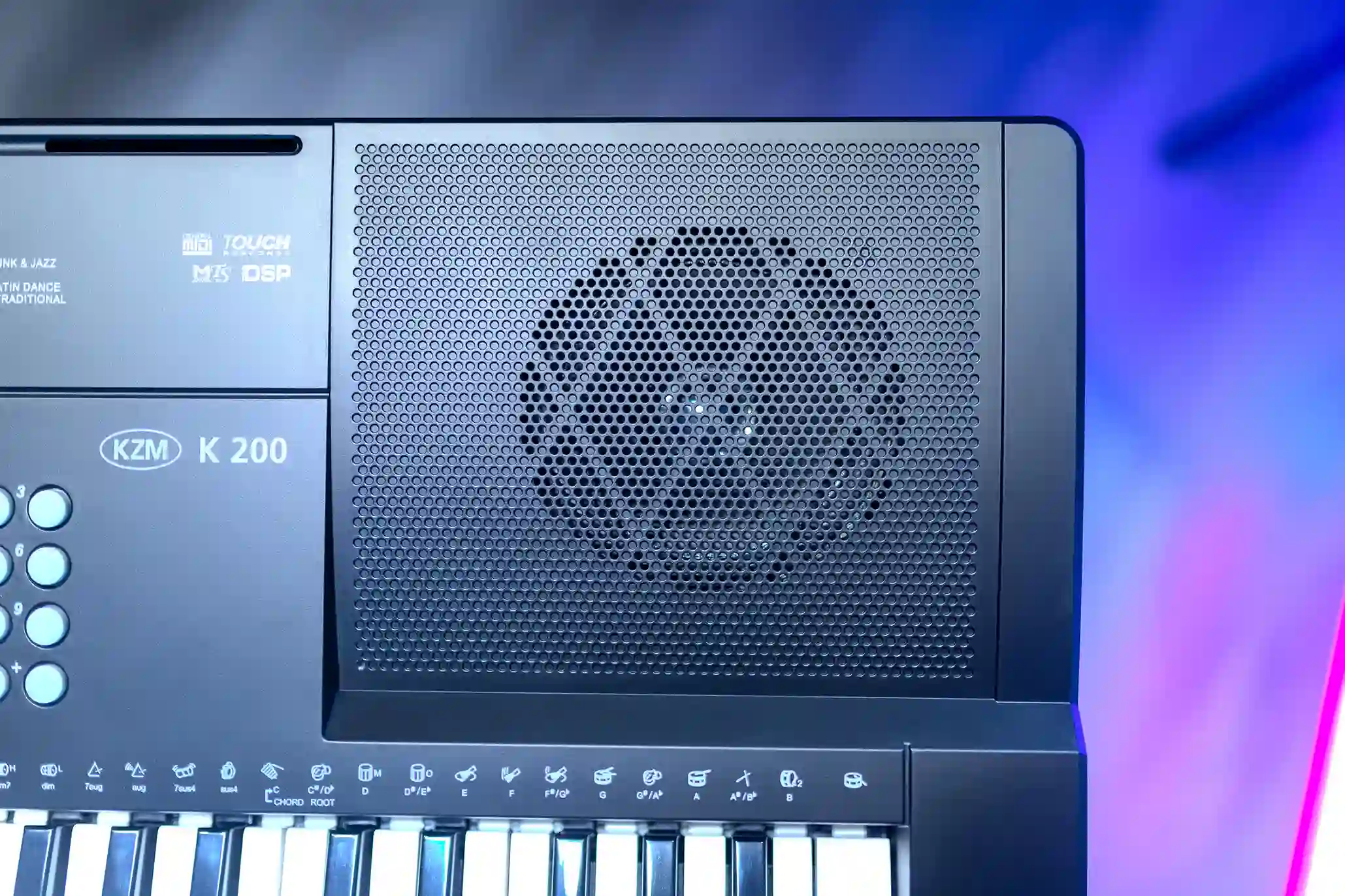hệ thống loa của đàn kurtzman k200