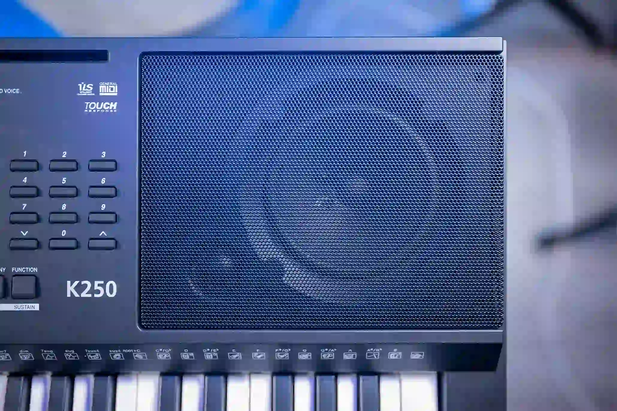 hệ thống loa của đàn kurtzman k250
