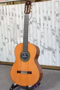 mặt nghiêng alhambra 5pe1_minhphungmusic