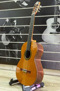 mặt nghiêng hông cuenca 60r_minhphungmusic