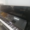 dan-piano-co-zenon-uz24