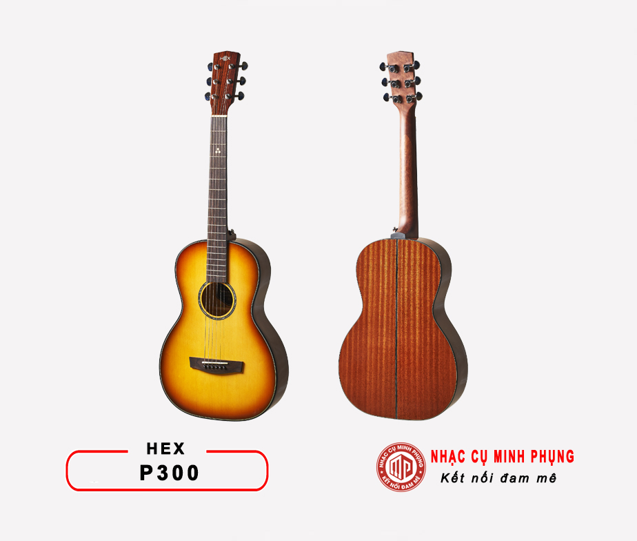 dan-guitar-acoustic-hex-p300