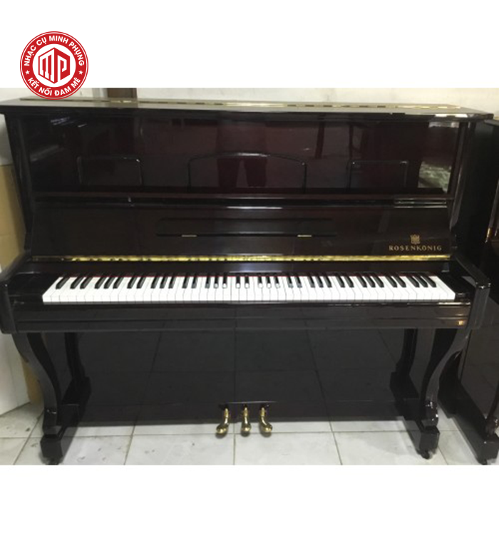 dan-piano-co-rosenstein-280