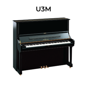 Yamaha U3M