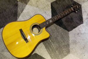 dan-guitar-acoustic-takahama-atk210ce-yn-gia-re