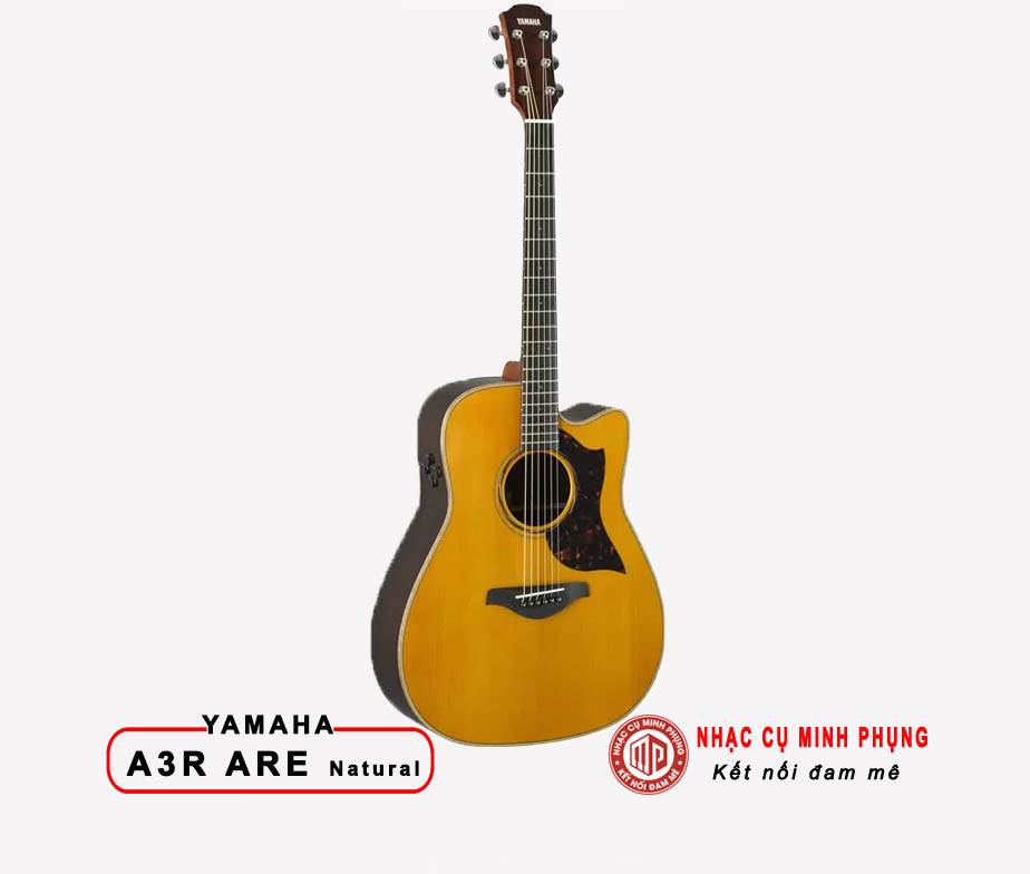 Đàn Guitar Acoustic Yamaha A3R ARE