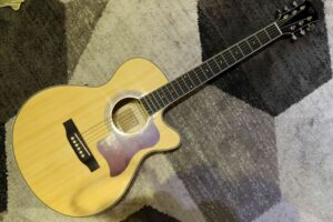 dan-guitar-acoustic-chard-ed17