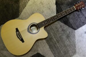 dan-guitar-acoustic-chard-eb16y