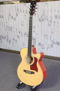 mặt nghiêng chard ea20c_minhphungmusic