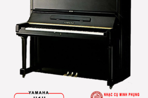 Nếu chưa biết điều này thì đừng mua đàn piano 10 triệu