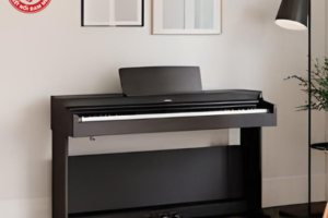 Đàn Piano điện dưới 50 triệu: Loại nào đáng mua?