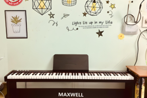 Địa chỉ bán đàn Piano điện Maxwell rẻ tại hà nội!