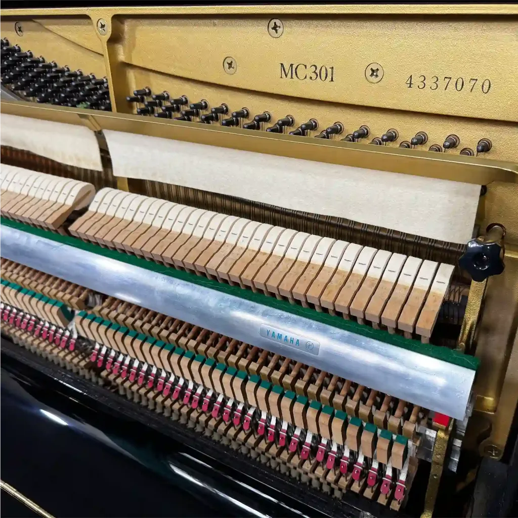 Bài toán đầu tư piano cơ
