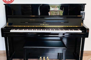 Tìm hiểu kích thước đàn piano phổ biến trên thị trường