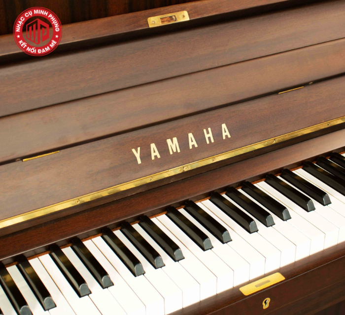 mua đàn piano cơ phím nặng hay phím nhẹ cho người mới học?