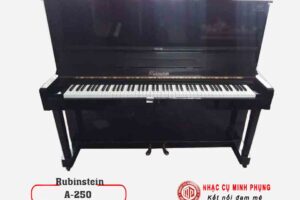 Đàn Piano cơ Rubinstein A250