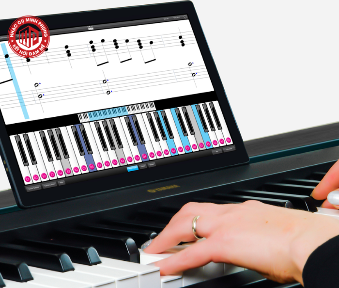 Những ứng dụng hỗ trợ học chơi Piano hiệu quả nhất dành cho người mới bắt đầu