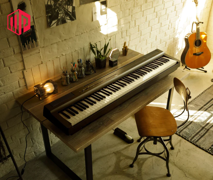 Digital Piano là nhạc cụ kết hợp giữa đàn piano acoustic và keyboard