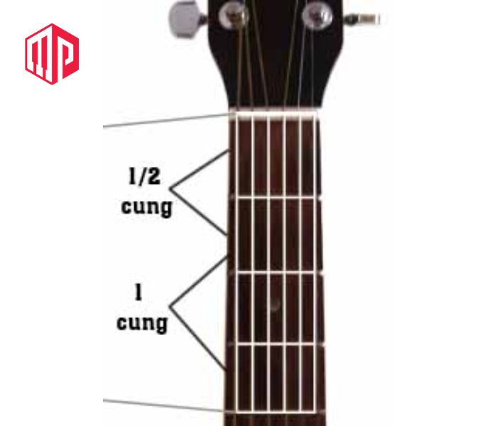 Cách quy đổi cung trên Guitar đơn giản, dễ hiểu