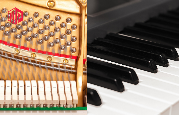 Phím đàn Piano cơ và Piano điện có gì khác nhau?
