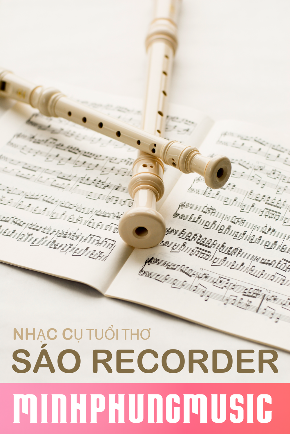 Sáo Recorder là nhạc cụ, Đồ chơi tuổi thơ