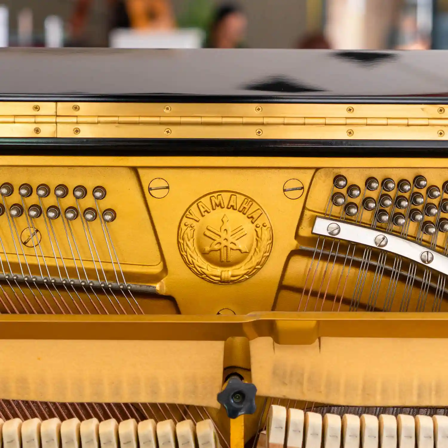 khung đồng yamaha yux_minhphungmusic