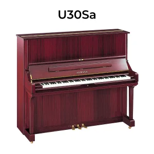 u30sa_minhphungmusic