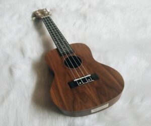 mua-dan-ukulele-size-24