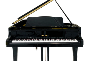 Tổng hợp các mức giá đàn Piano mới nhất 2024