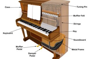 Tìm hiểu cấu tạo và chức năng của thùng đàn Piano cơ