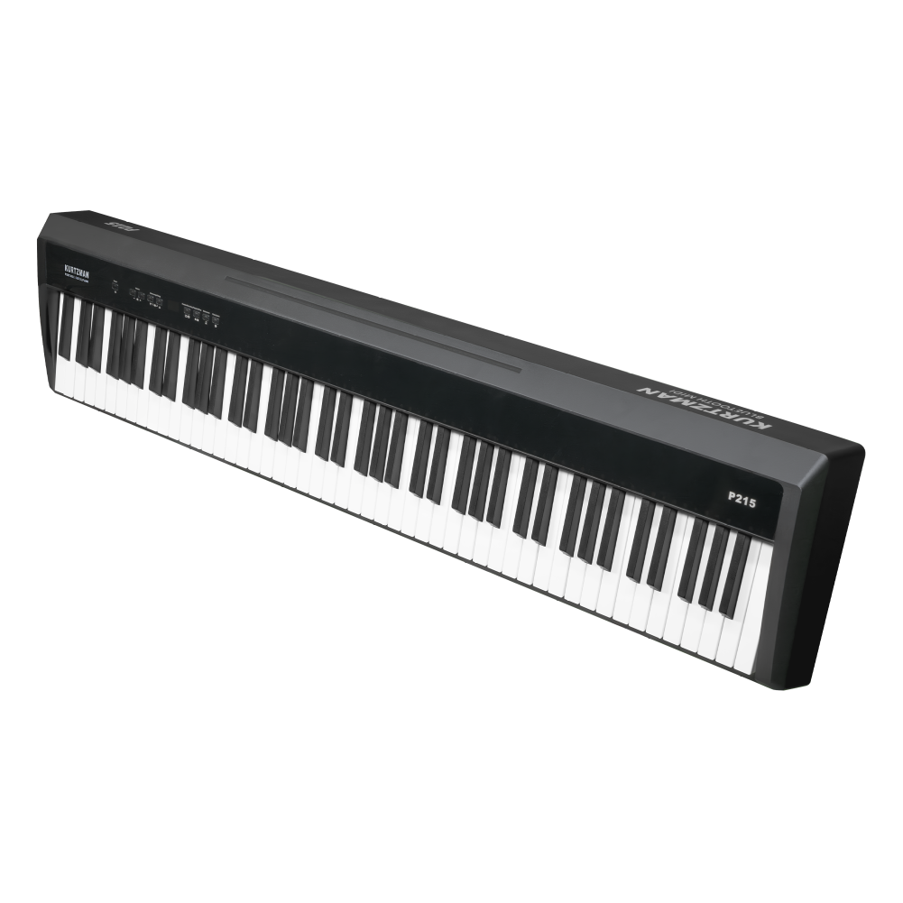 hai cổng tai nghe Kurtzman P215