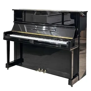 mặt nghiêng ux10bl_minhphungmusic