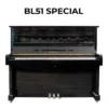 KAWAI-BL51