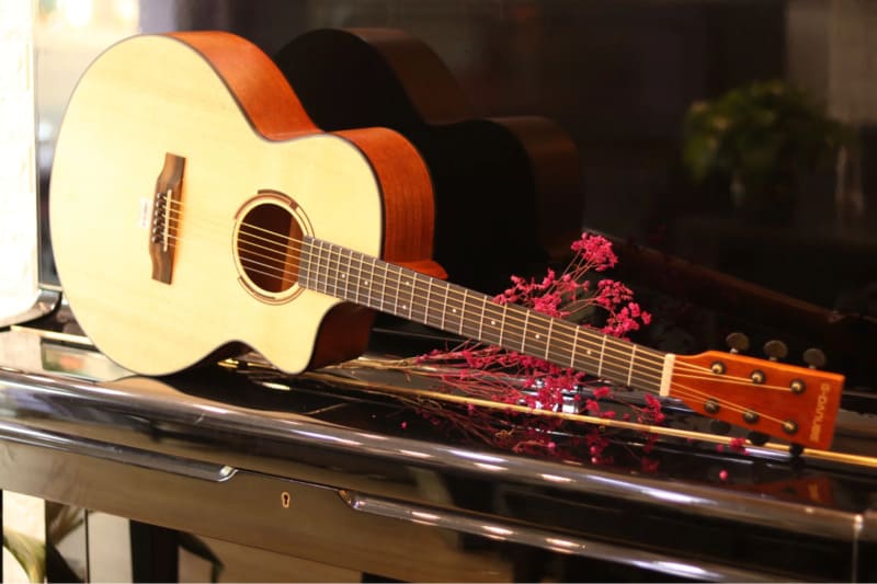 Tại Sao Đàn Guitar Thường Được Làm Từ Gỗ Vân Sam và Tuyết Tùng?