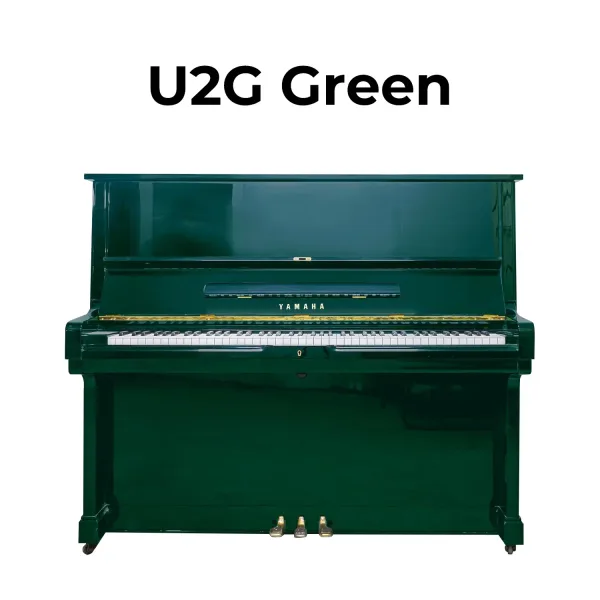 yamaha u2g đã qua sử dụng màu lạ_minhphungmusic