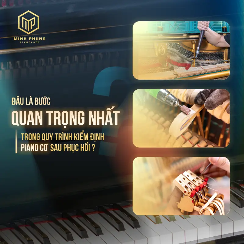 quy trình kiểm định đàn piano cơ