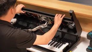 Linh kiện kurtzman chính hãng_minhphungmusic