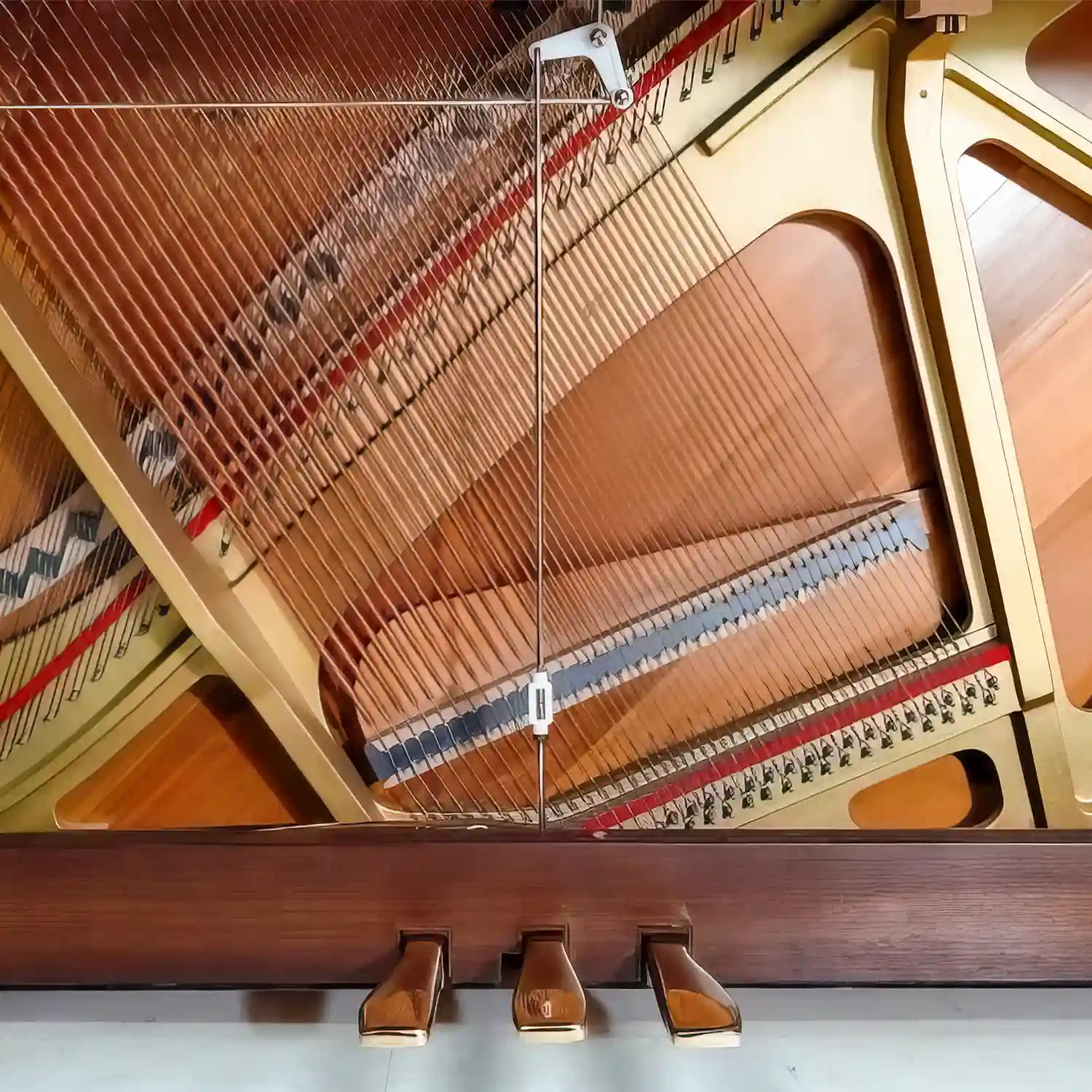 ngựa đàn yamaha MC1AWnC_minhphungmusic