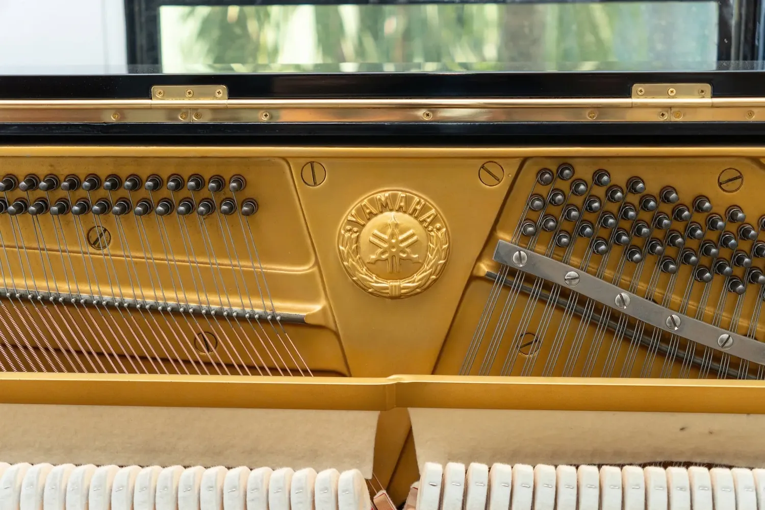 Bàn giao Yamaha U2H và Kurtzman KS1 Plus cho lớp nhạc Pamper Me 1