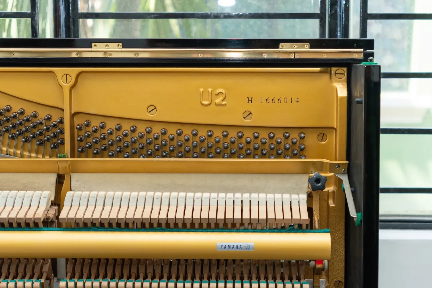 Bàn giao Yamaha U2H và Kurtzman KS1 Plus cho lớp nhạc Pamper Me 3