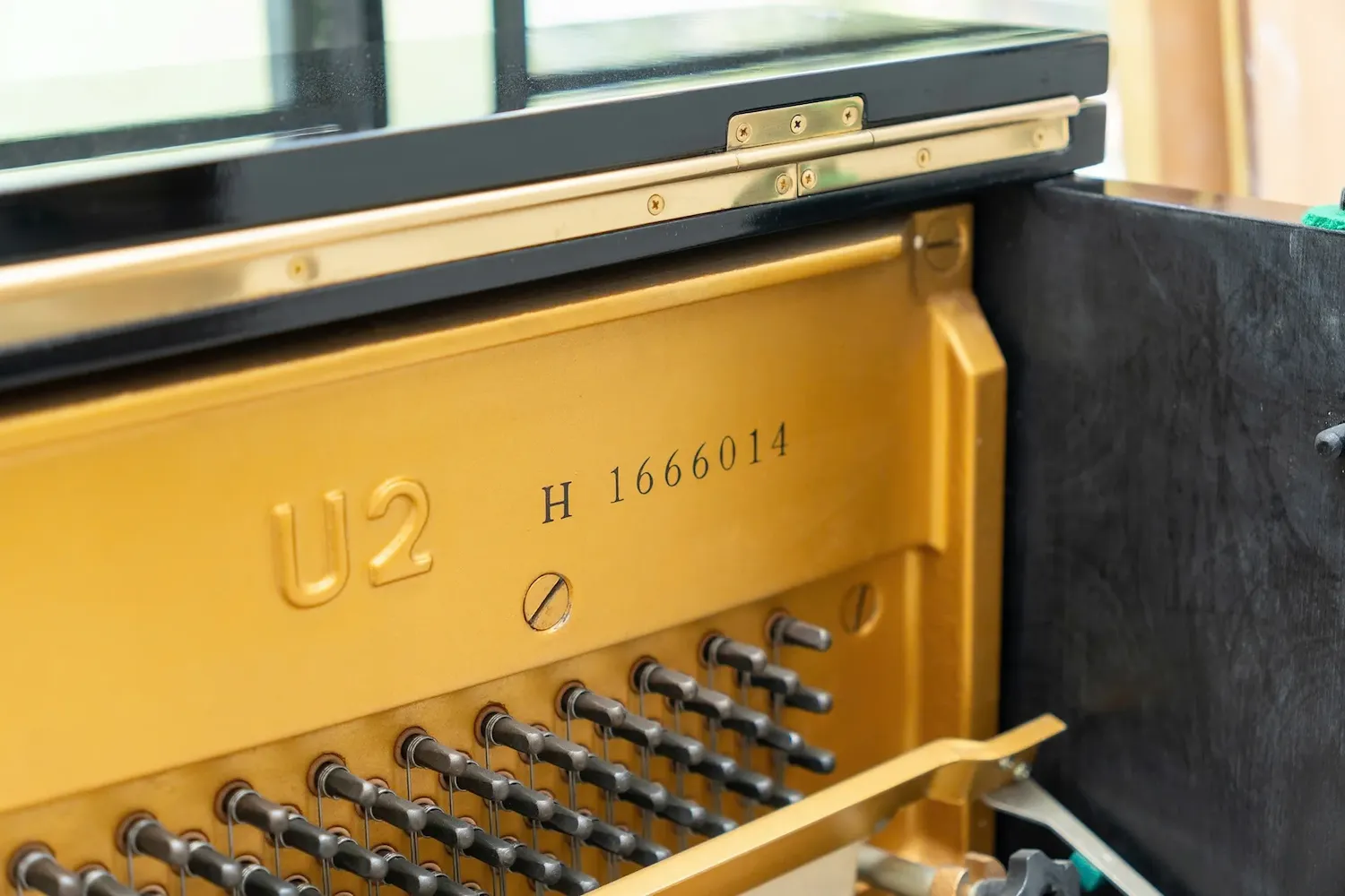 Bàn giao Yamaha U2H và Kurtzman KS1 Plus cho lớp nhạc Pamper Me 7