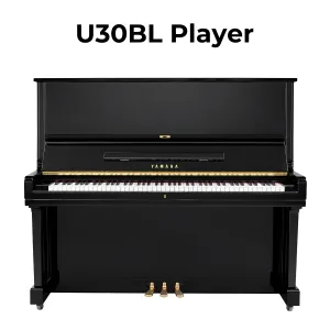 đàn YAMAHA U30BL Player_minhphungmusic