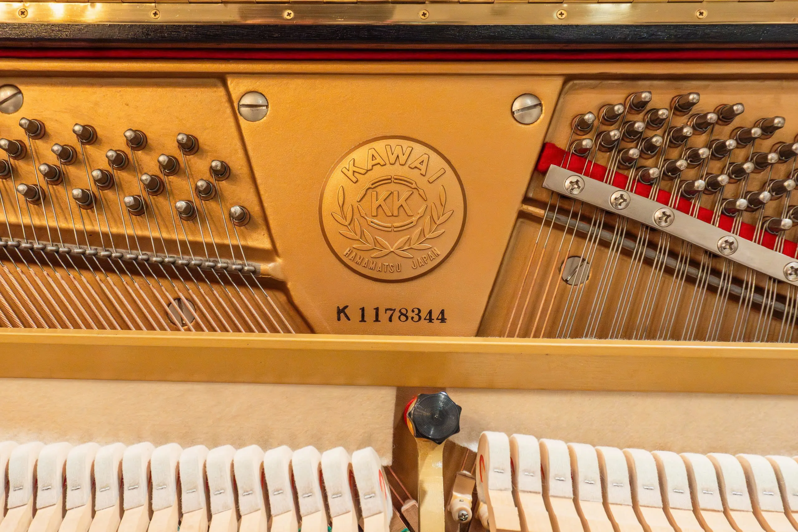 Bàn giao piano cơ Kawai KS5F về Vinhomes Central Park, Bình Thạnh, TpHCM - 2