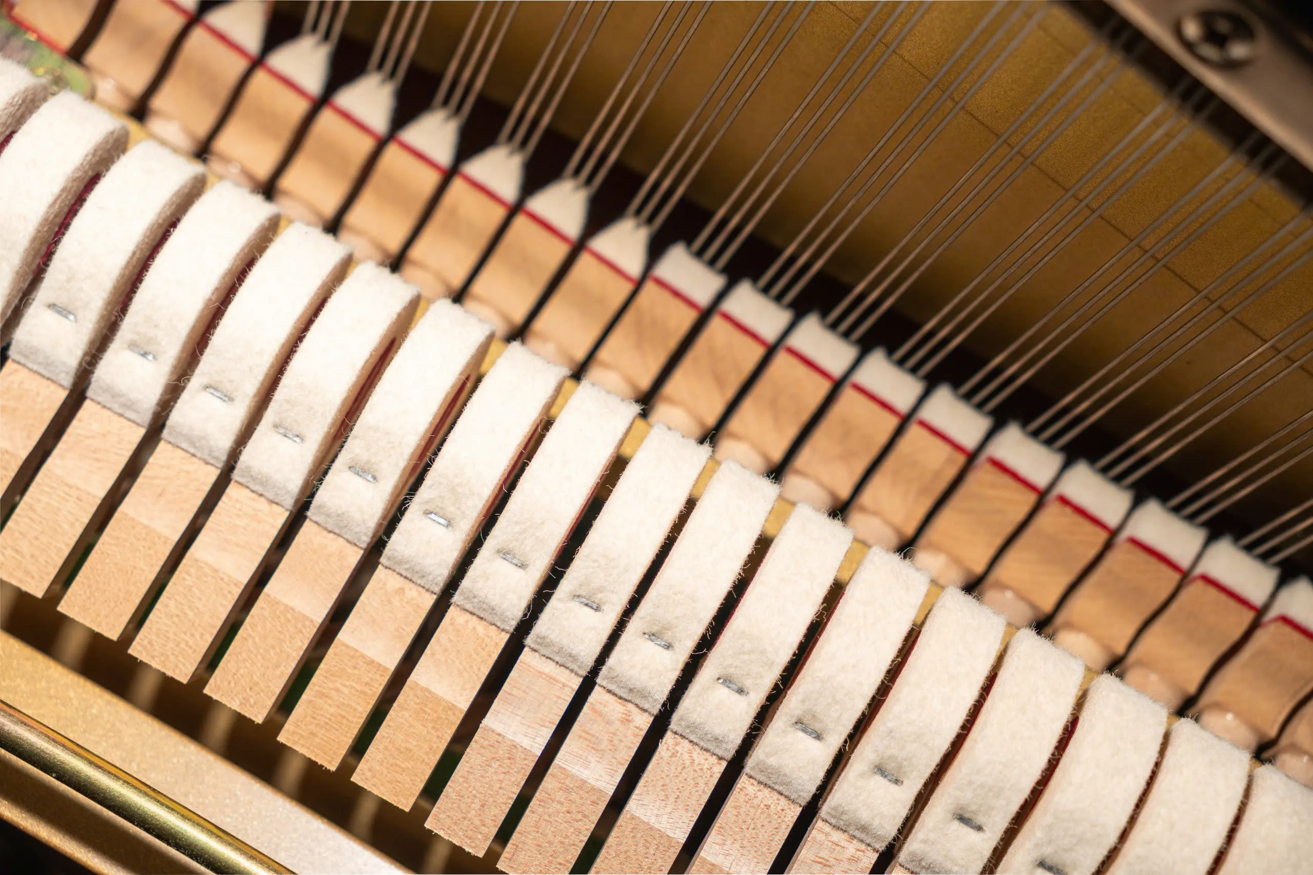Bàn giao piano cơ Yamaha YU3-SXG về quận 5, TpHCM - 5