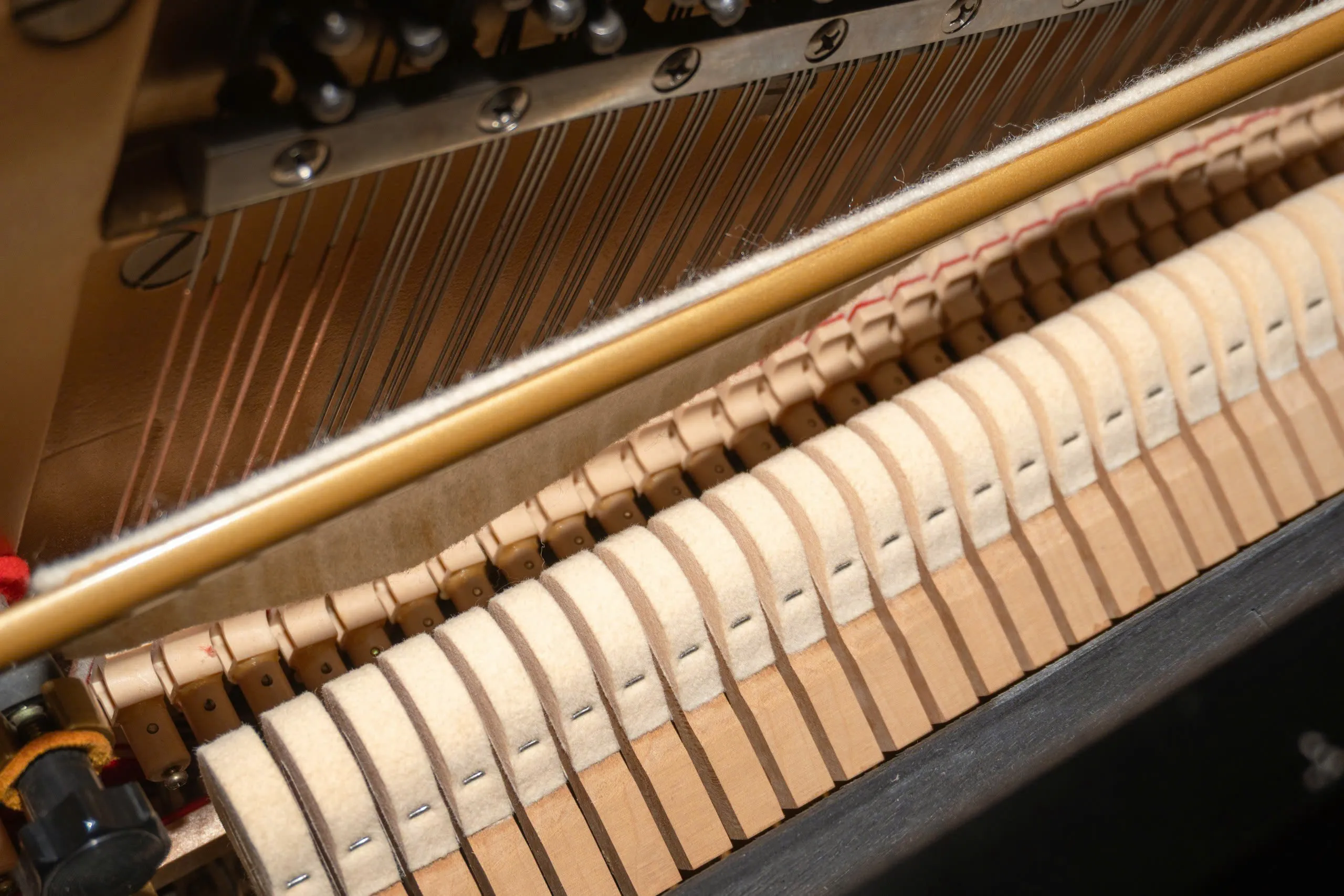 Piano cơ Kawai KS1F bàn giao về Quận 8 TpHCM - 7