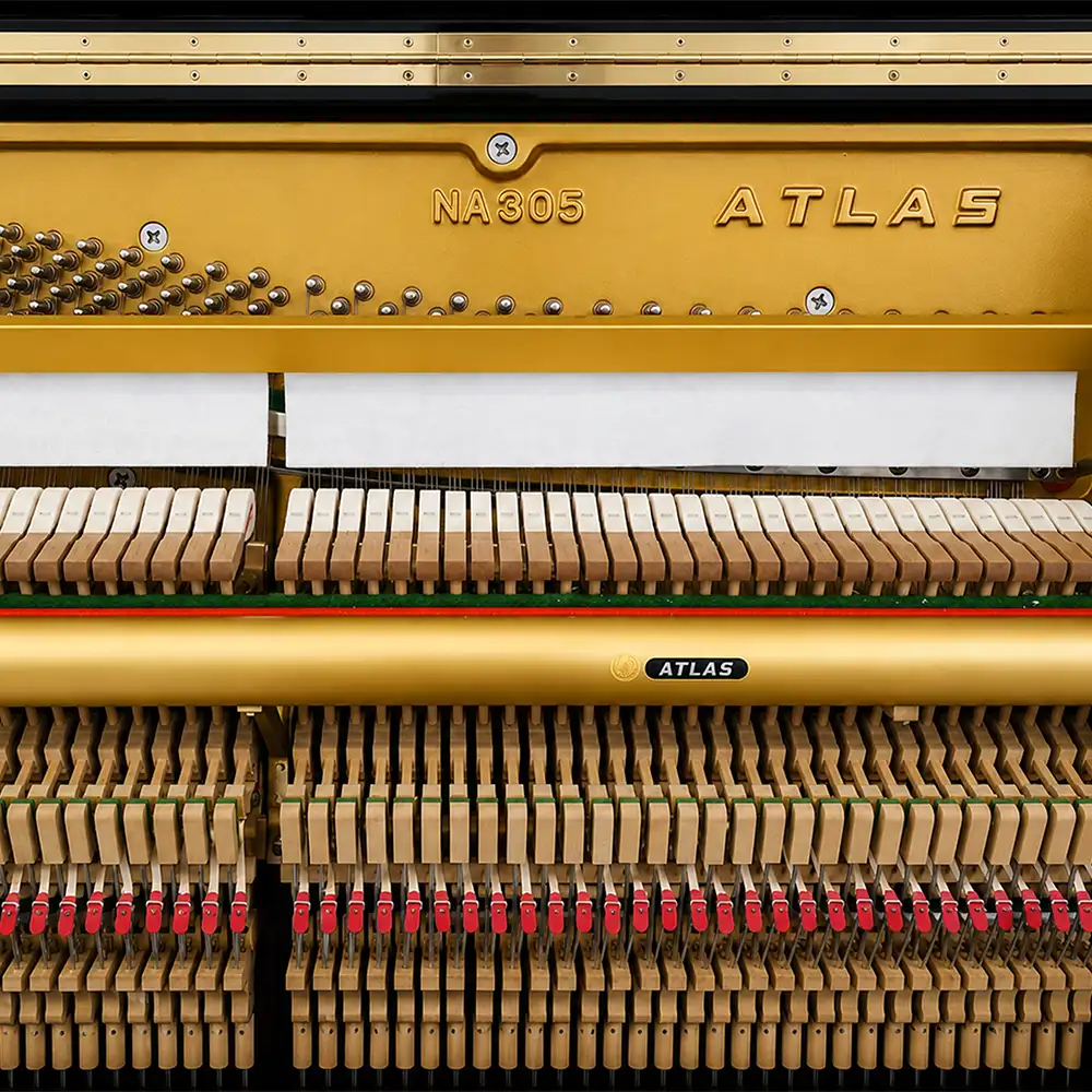 action đàn piano cơ atlas na305_minhphungmusic