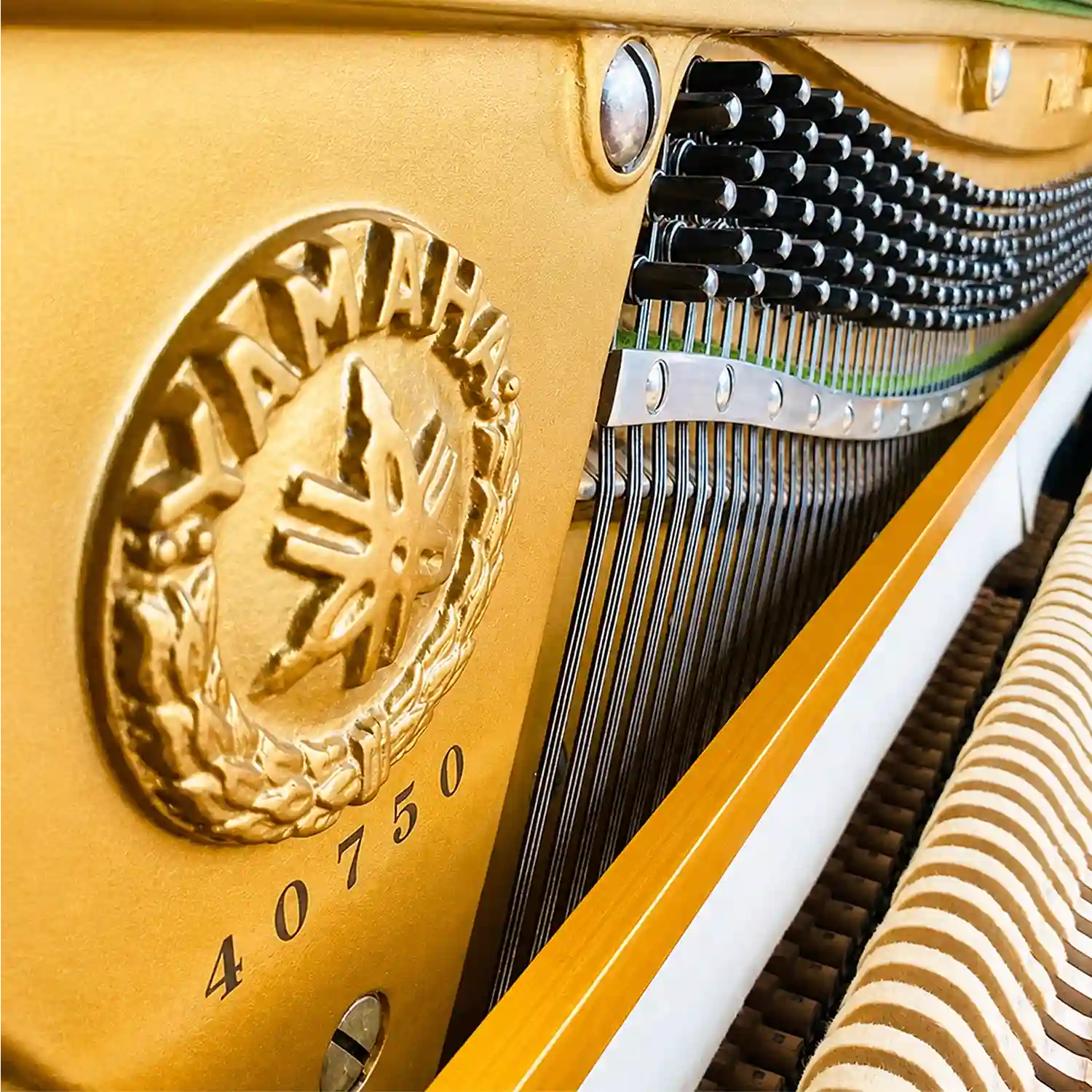 đàn yamaha no300 trắng giá tốt_minhphungmusic